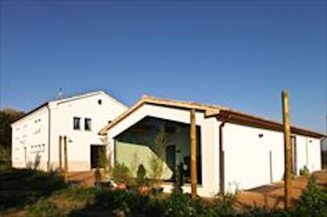 Terracruda_alg_3